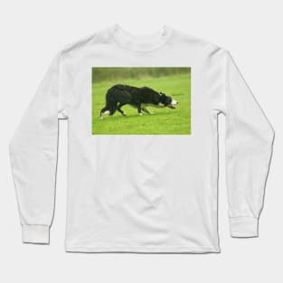 Working Sheepdog Long Sleeve T-Shirt